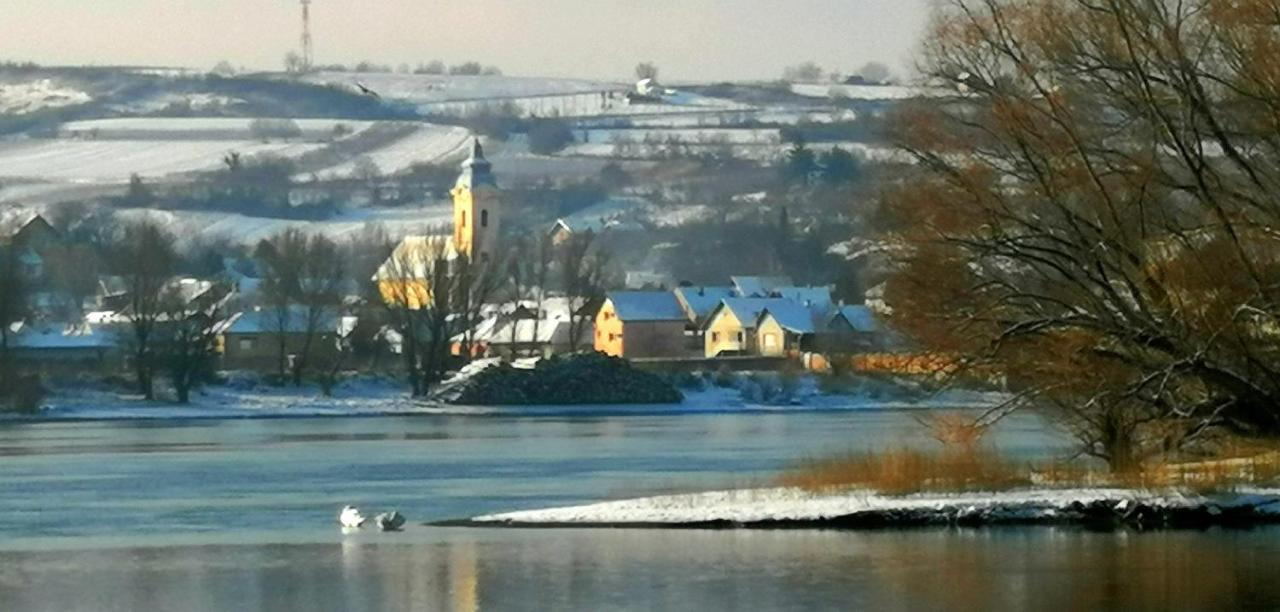 Vila Danube Fairy Futog Exteriér fotografie