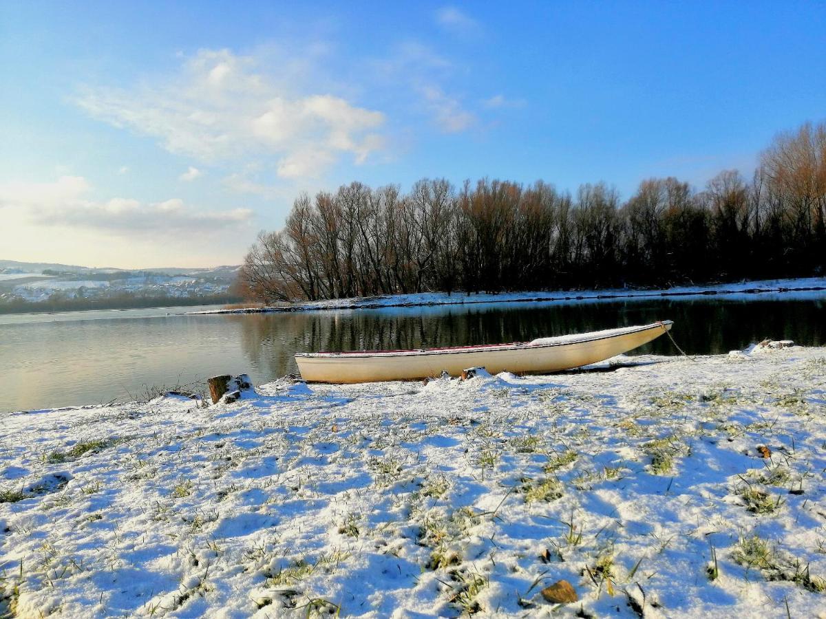 Vila Danube Fairy Futog Exteriér fotografie