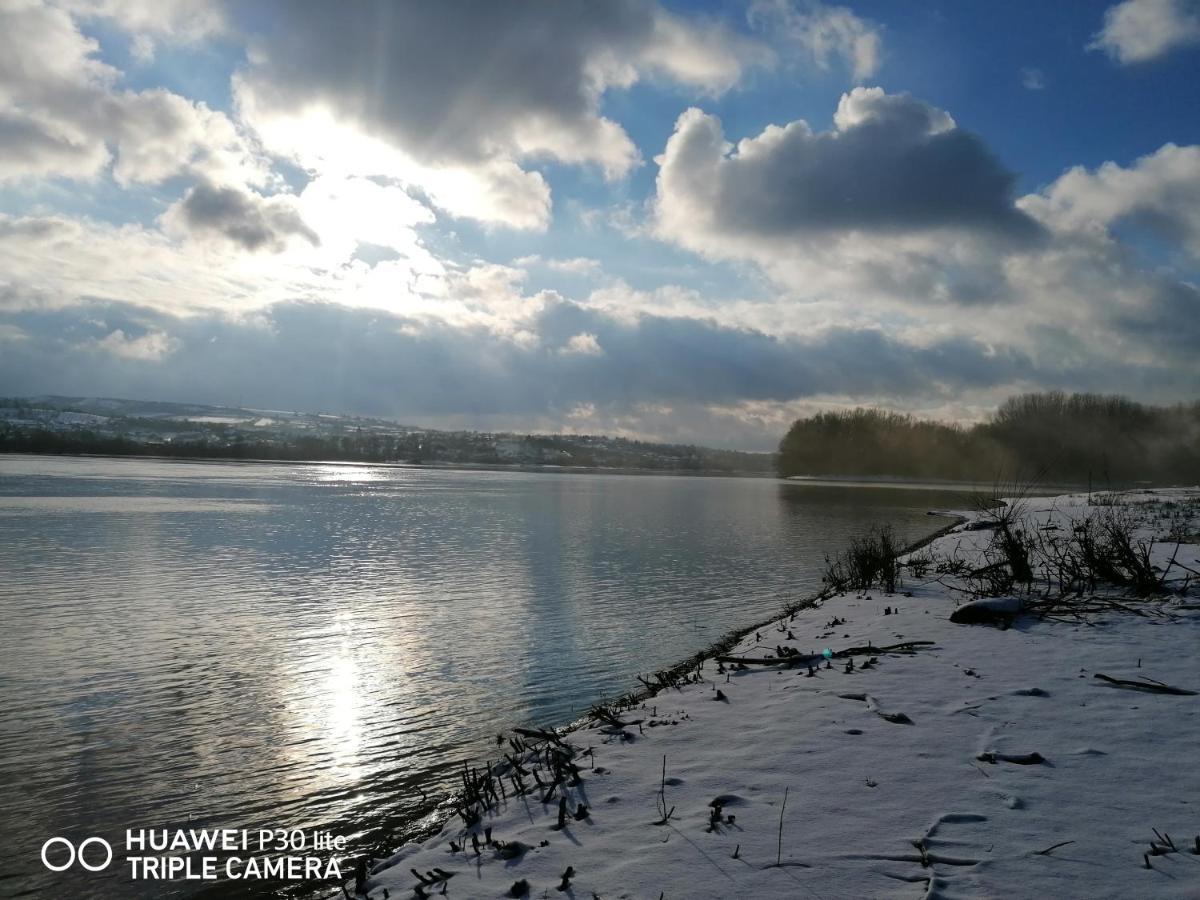 Vila Danube Fairy Futog Exteriér fotografie