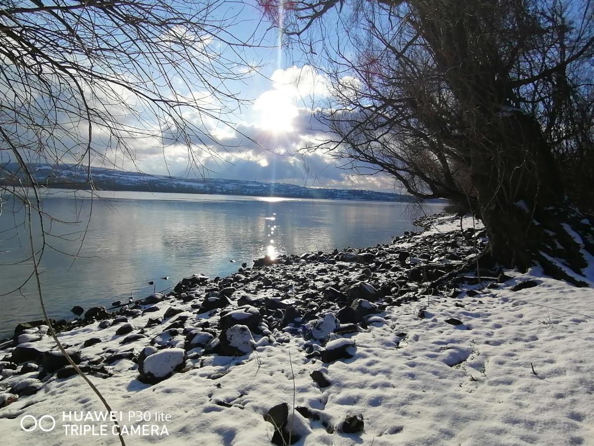 Vila Danube Fairy Futog Exteriér fotografie