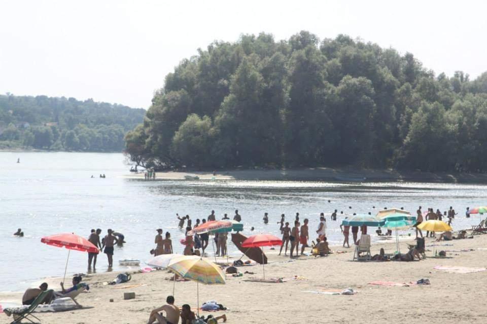 Vila Danube Fairy Futog Exteriér fotografie