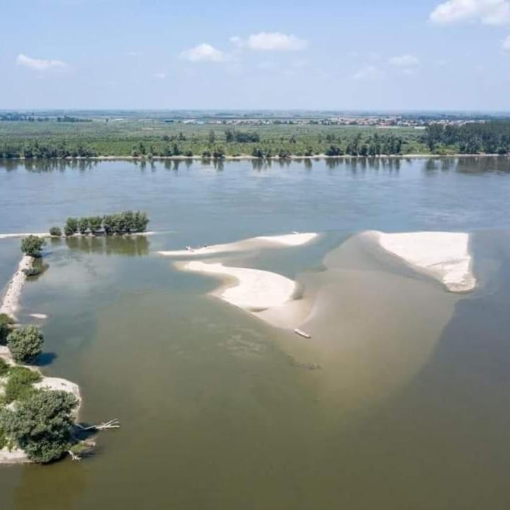 Vila Danube Fairy Futog Exteriér fotografie