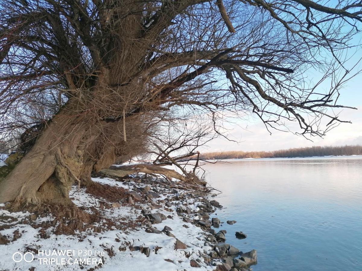 Vila Danube Fairy Futog Exteriér fotografie