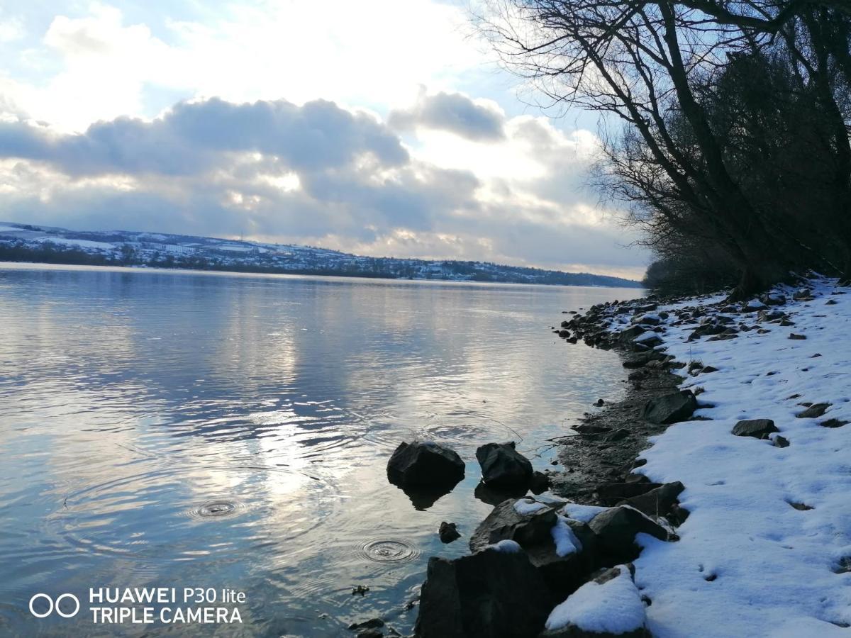 Vila Danube Fairy Futog Exteriér fotografie