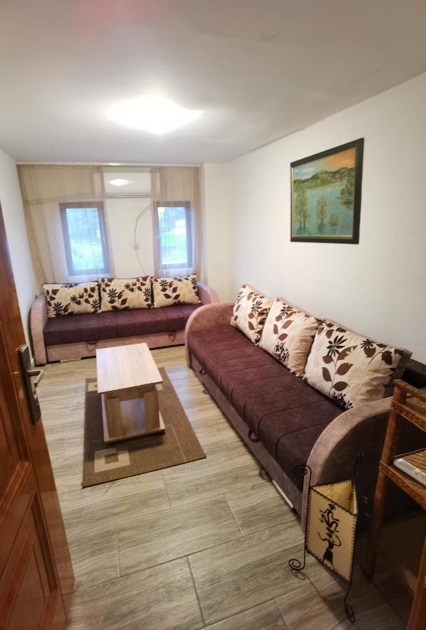 Vila Danube Fairy Futog Exteriér fotografie