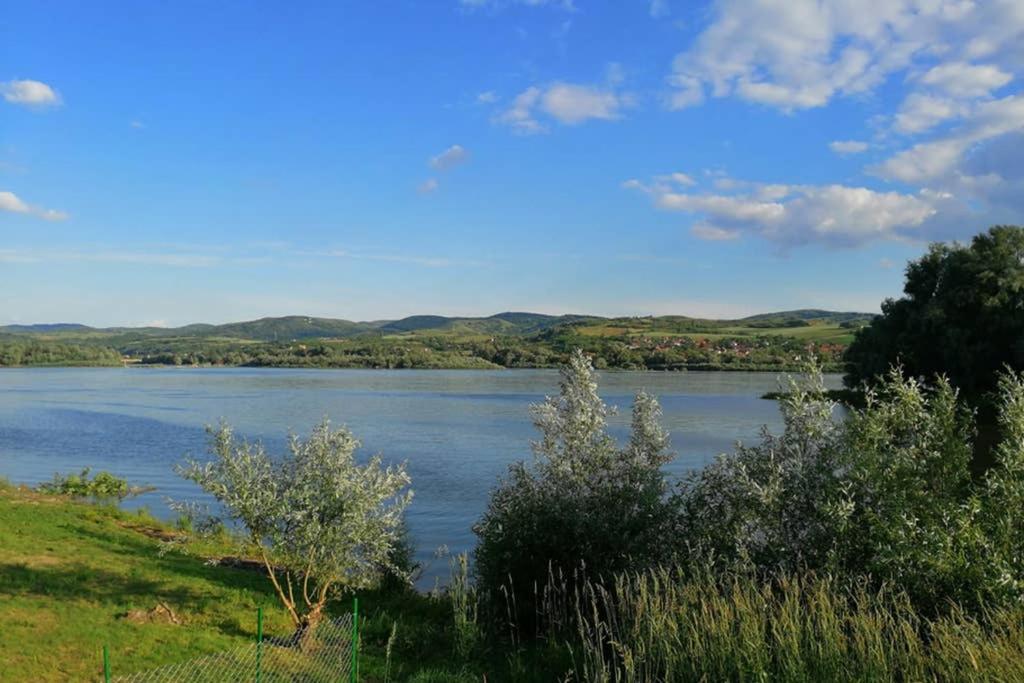 Vila Danube Fairy Futog Exteriér fotografie