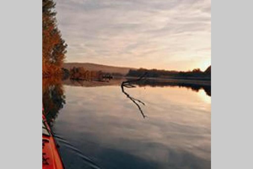 Vila Danube Fairy Futog Exteriér fotografie
