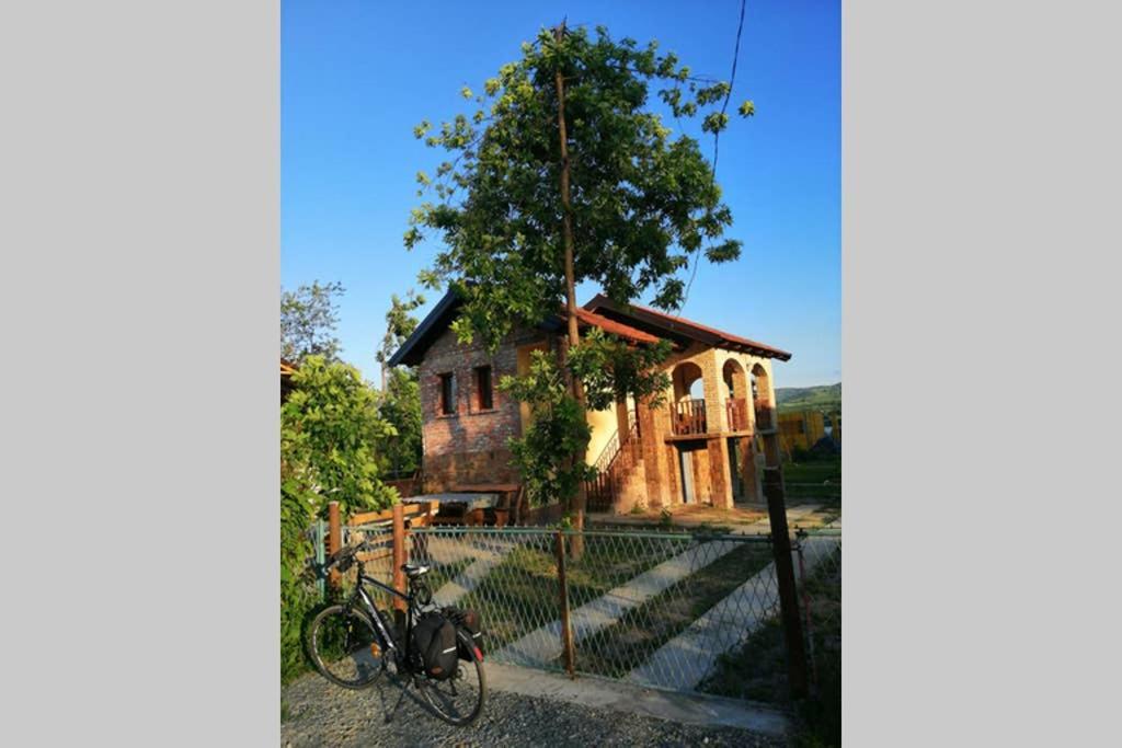 Vila Danube Fairy Futog Exteriér fotografie