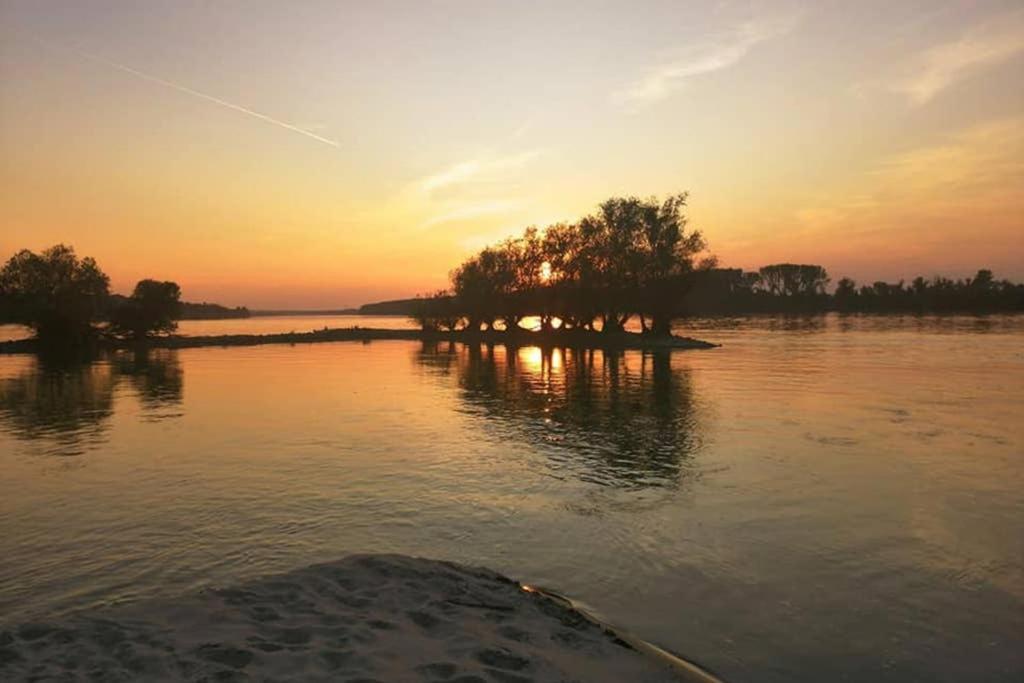 Vila Danube Fairy Futog Exteriér fotografie