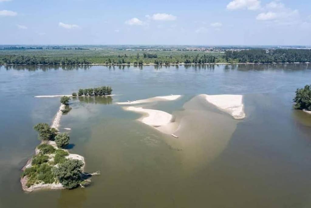 Vila Danube Fairy Futog Exteriér fotografie