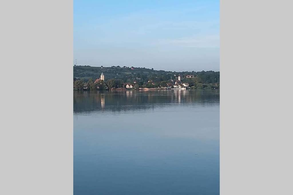 Vila Danube Fairy Futog Exteriér fotografie