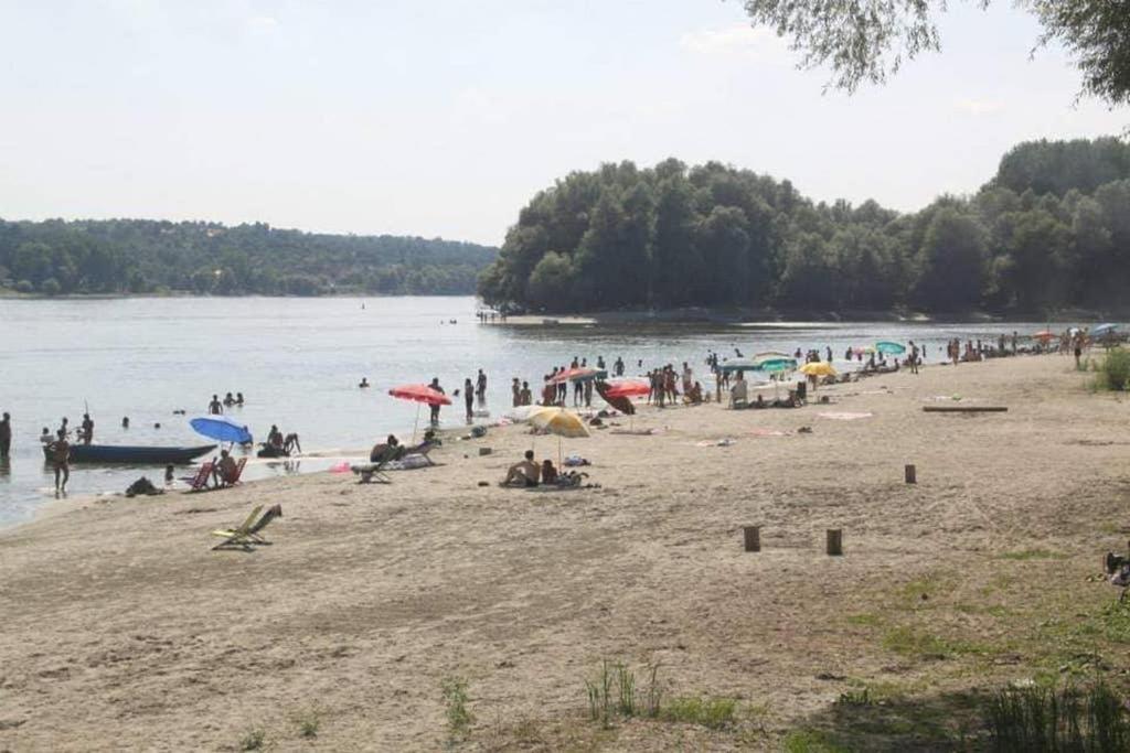 Vila Danube Fairy Futog Exteriér fotografie